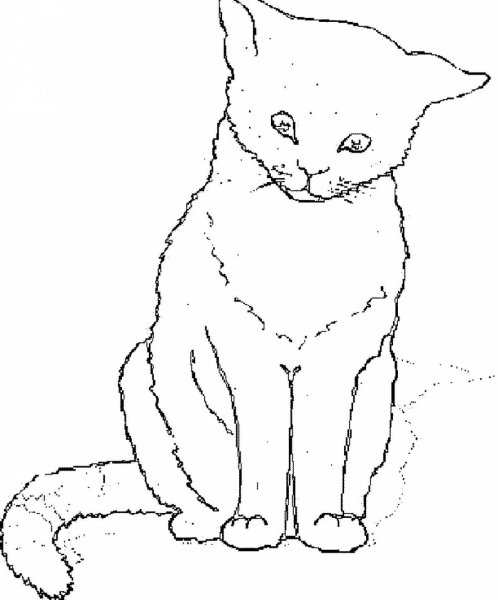 Нарисовать сидящего кота