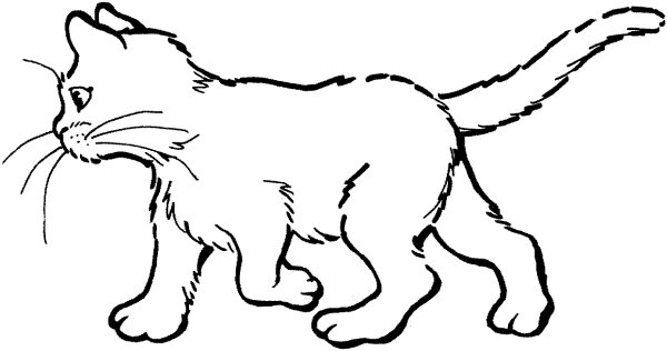 Кот раскраска для детей