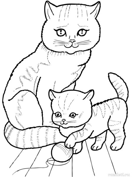 Кошечка раскраска для детей