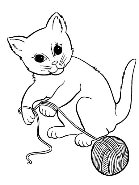 Раскраски котенка который сидит (45 фото)