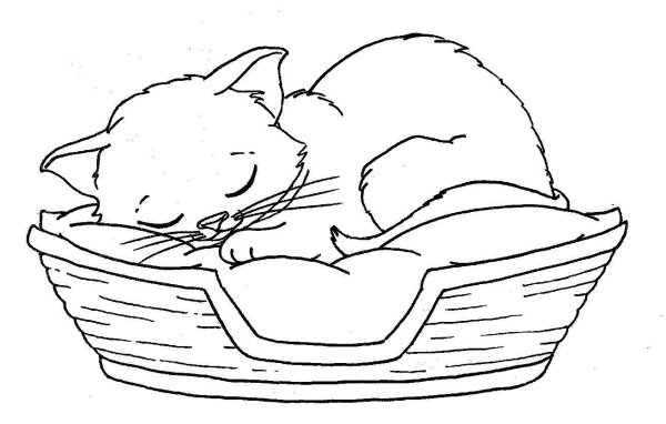 Раскраска котята в корзинке