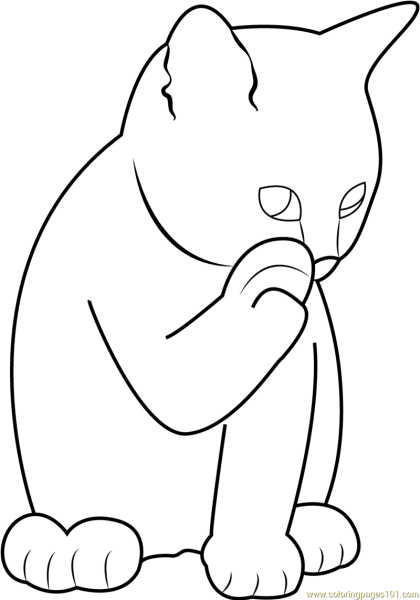 Кот умывается раскраска