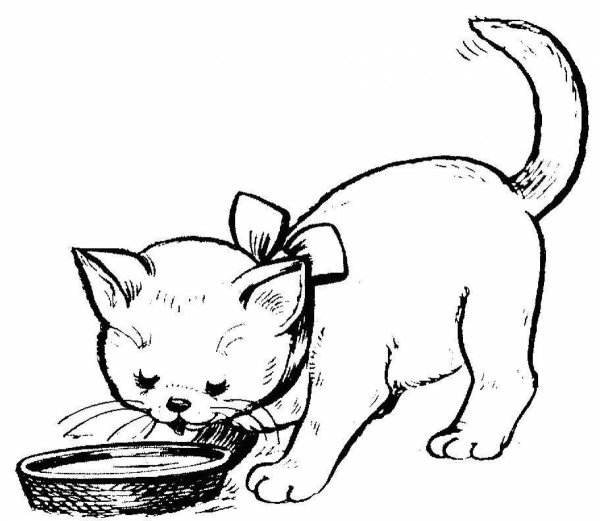 Котенок. Раскраска