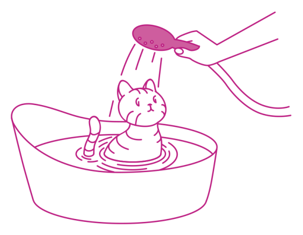 Кот умывается рисунок