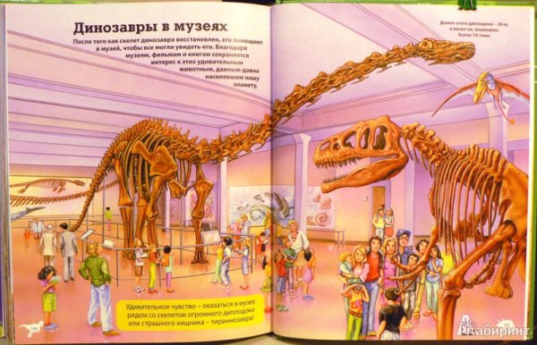 Динозавры большая энциклопедия для детей энциклопедия Арредондо