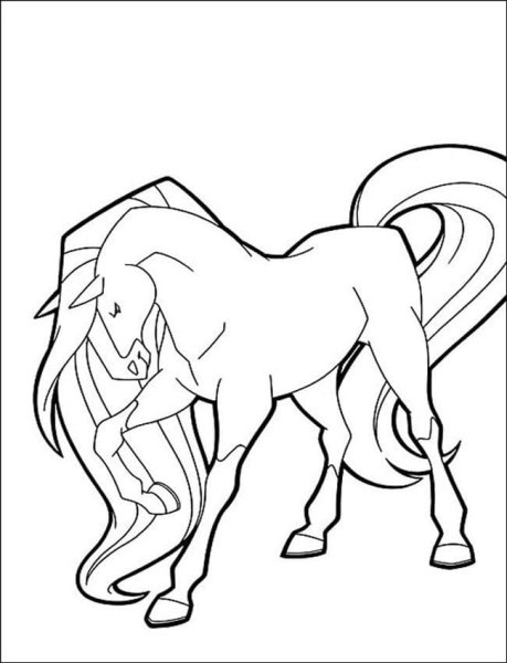 Horseland раскраски