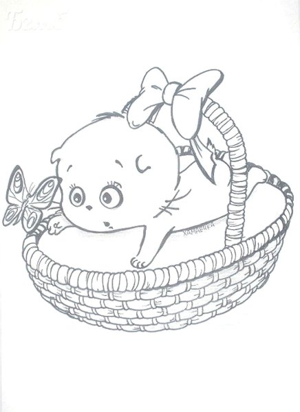 Раскраска кот Басик
