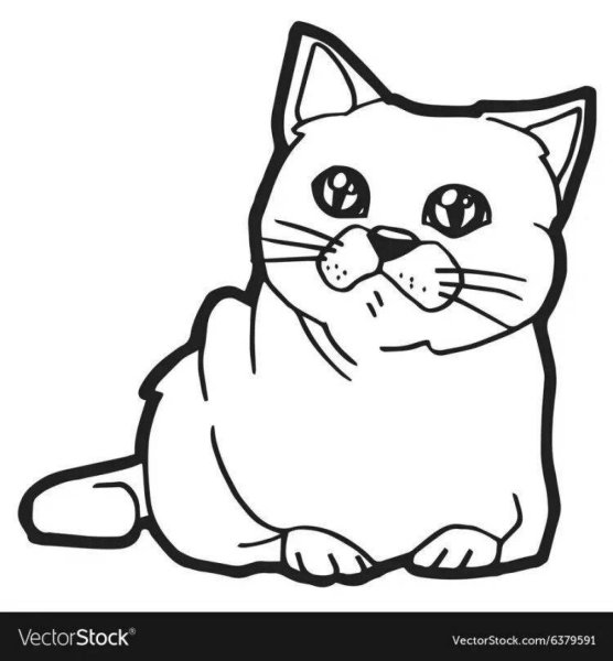 Раскраска британский кот