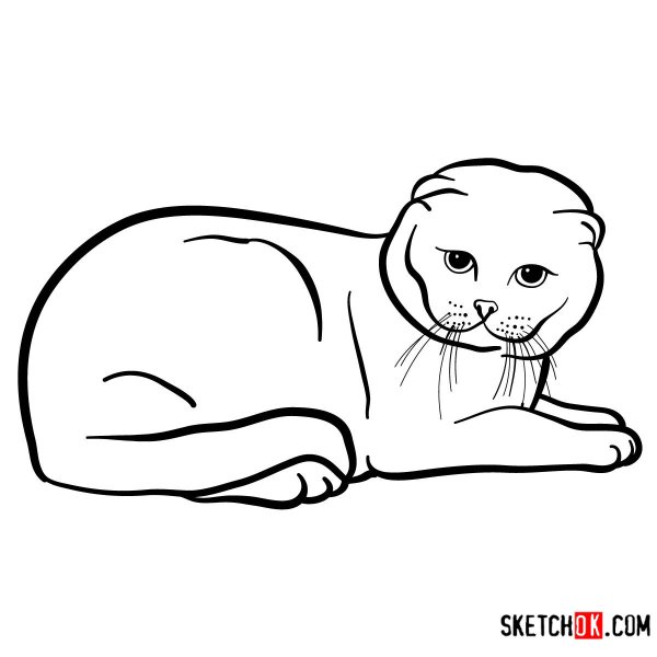 Раскраска вислоухий кот
