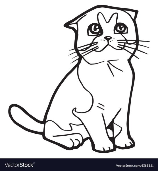 Вислоухая кошка раскраска