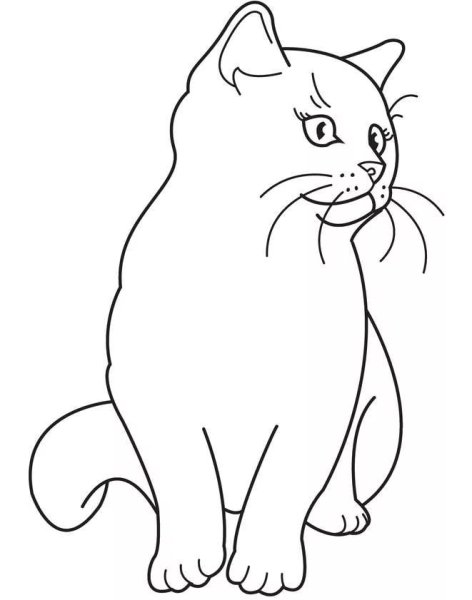 Кот раскраска для детей