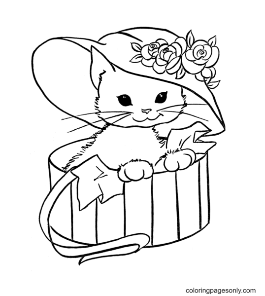 Котенок. Раскраска