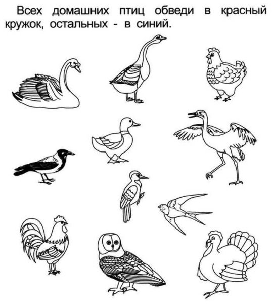 Задания для детей перелетные и зимующие птицы