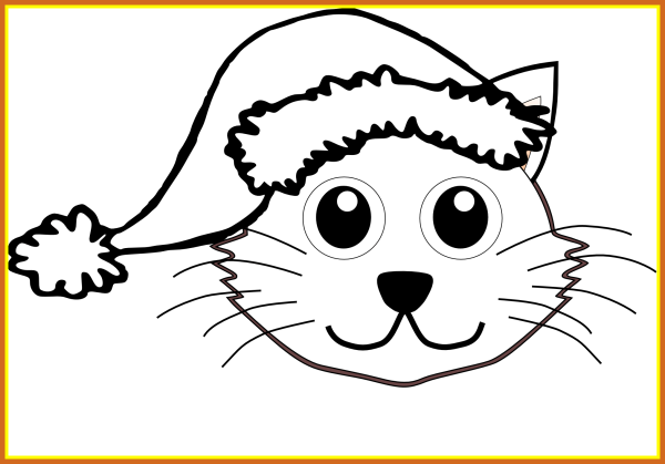 Кот в шапке