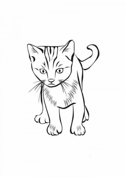 Карточки кошки раскраска