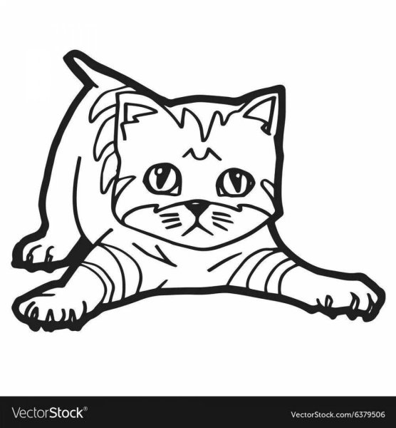 Кошка британец раскраска