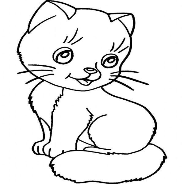 Котенок для раскрашивания