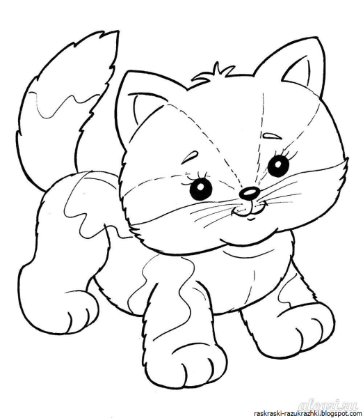 Котенок раскраска для детей 4-5 лет
