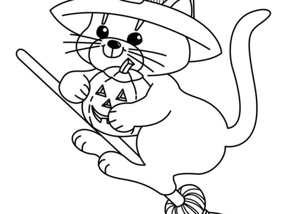 Кот в шляпе раскраска