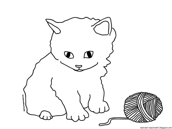 Котенок. Раскраска
