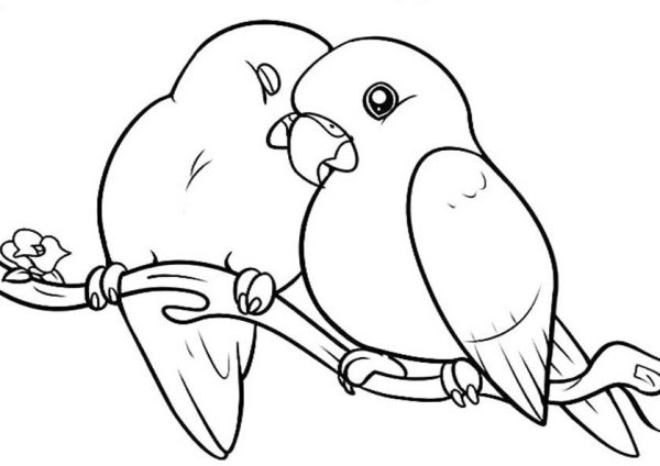 Раскраски нарисованная птица (46 фото)