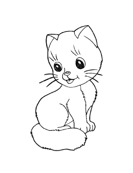 Котенок. Раскраска