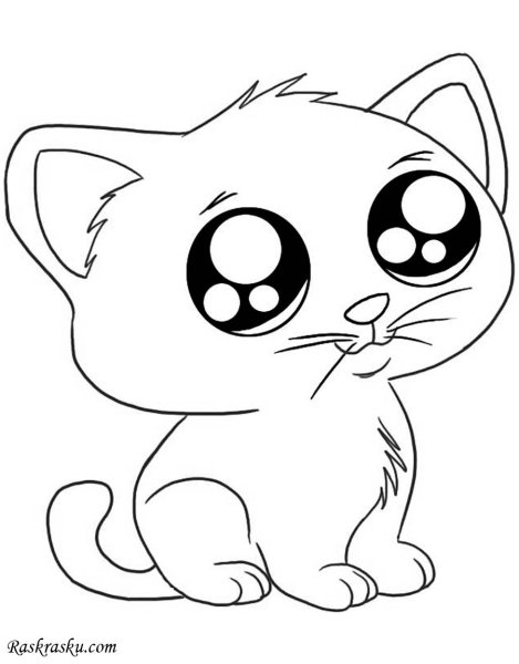 Котенок. Раскраска