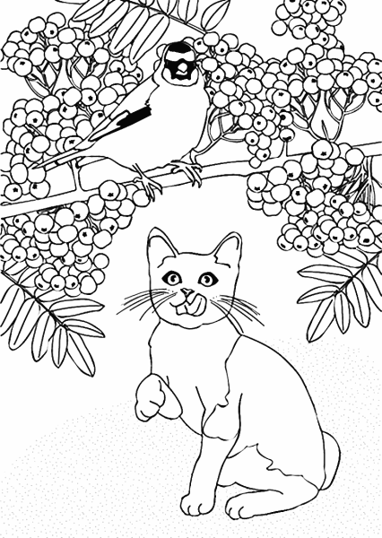 Раскраска котик на дереве
