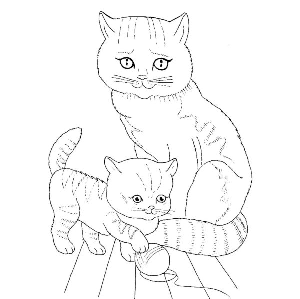 Раскраска. Котики