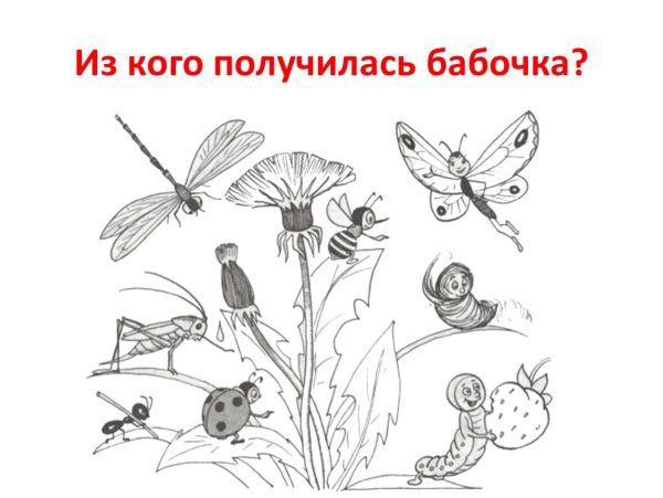 Рисунок на тему насекомые