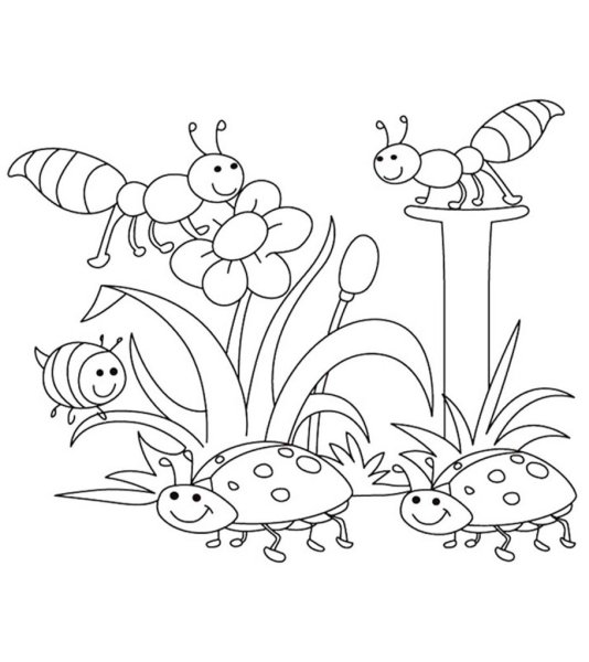 Раскраски насекомые для детей 6-7 лет