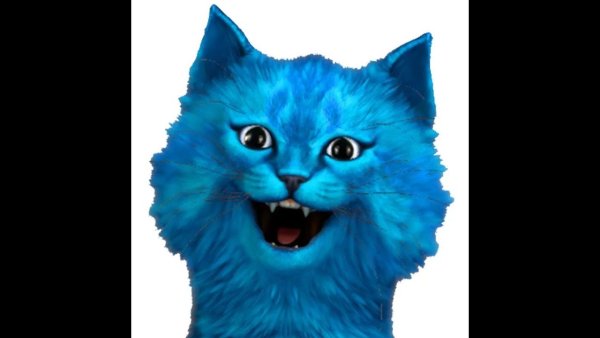 Синий котенок лайк
