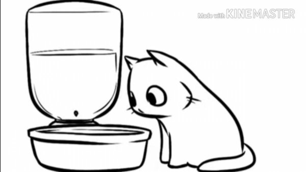 Котик с миской