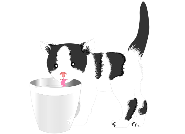 Котенок лакает молоко рисунок