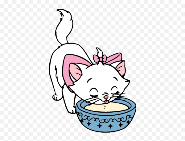 Котенок лакает молоко