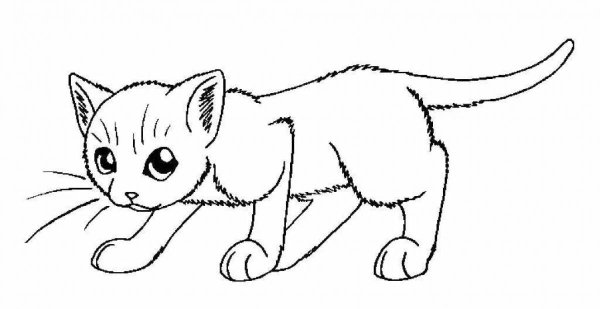 Кошка рисунок раскраска