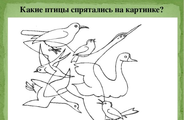 Перелетные птицы задания для детей