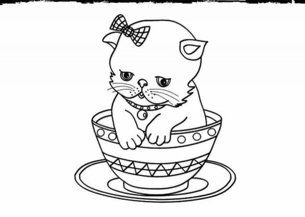 Раскраска милый котенок