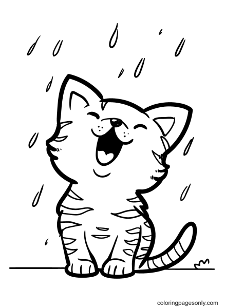 Kittens to Colour