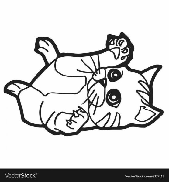 Котенок на спине раскраска