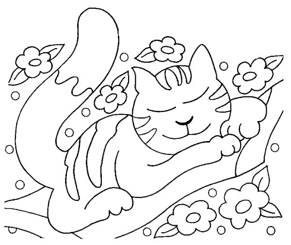 Котенок спит раскраска