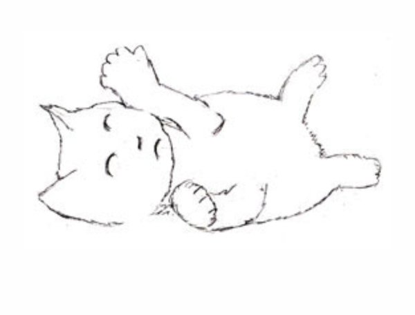 Лежачий кот на спине рисунок