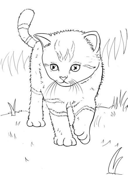 Кошки. Раскраска