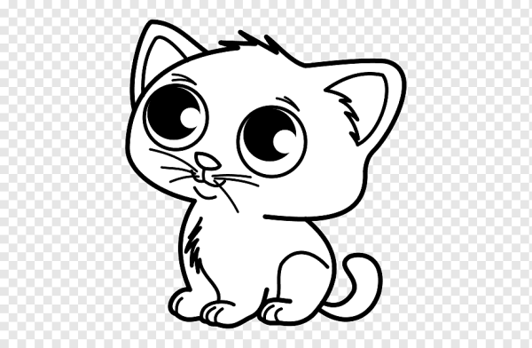 Котик раскраска PNG