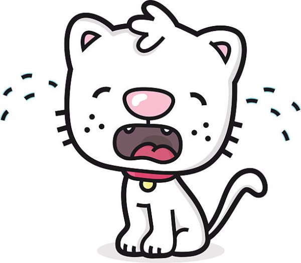 Котик плачет рисунок