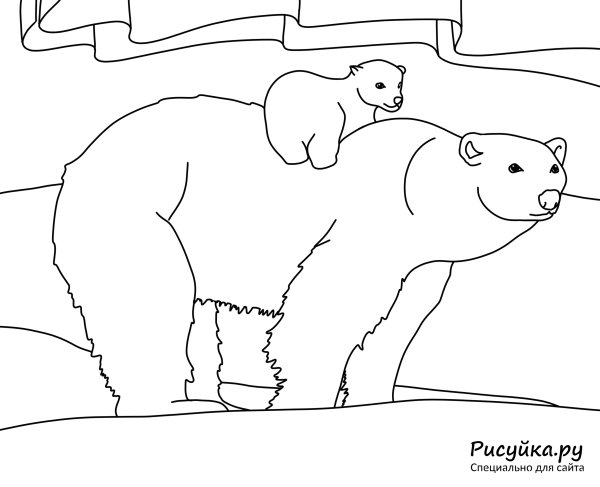 Раскраски о медведи который танцует (42 фото)