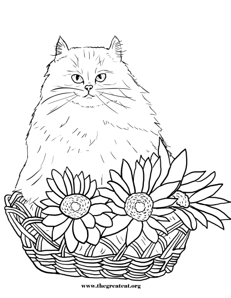 Раскраска котята в корзинке
