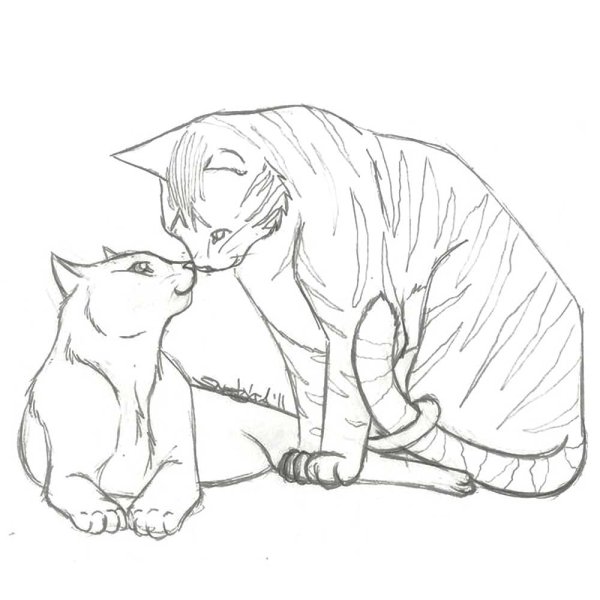 Рисунок двух котов для срисовки