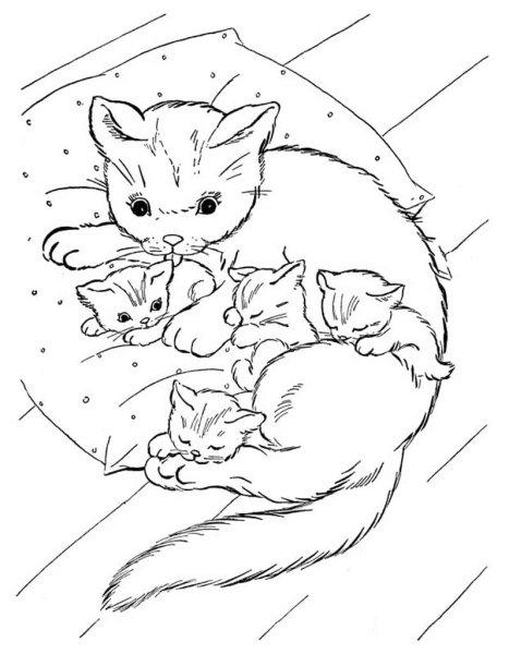Раскраскамкошка с котенком