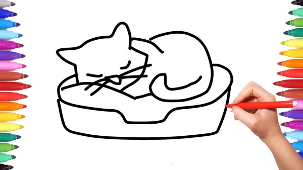 Радужный котик раскраска